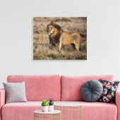 Afrikaanse lion canvas afdruk (Insitu (Woonkamer))