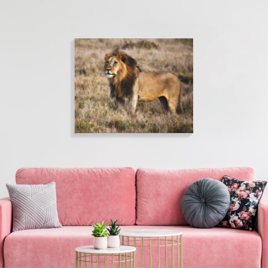 Afrikaanse lion canvas afdruk (Insitu (Woonkamer))