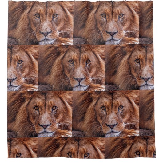 Afrikaanse lion douchegordijn (Voorkant)