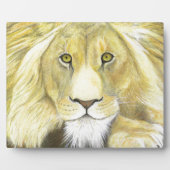Afrikaanse lion fotoplaat (Voorkant)