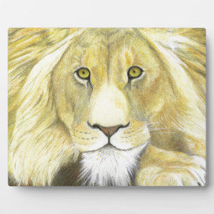 Afrikaanse lion fotoplaat