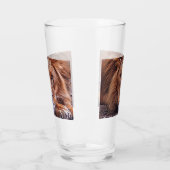 Afrikaanse lion glas (Links)