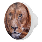 Afrikaanse lion keramische knop (Rechts)