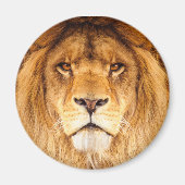 Afrikaanse lion magneet (Voorkant)
