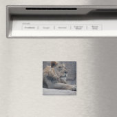 Afrikaanse lion magneet (Insitu (Vaatwasser))