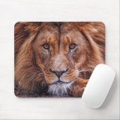 Afrikaanse lion muismat (Met muis)