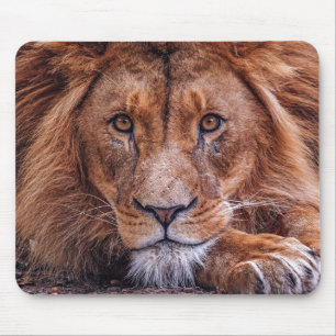 Afrikaanse lion muismat