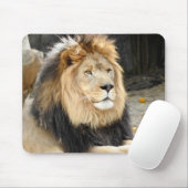 Afrikaanse lion muismat (Met muis)