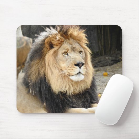 Afrikaanse lion muismat (Met muis)