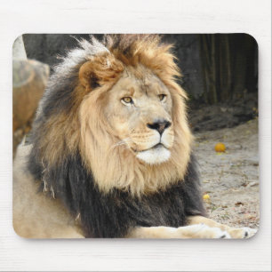 Afrikaanse lion muismat