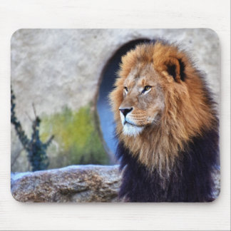 Afrikaanse lion muismat