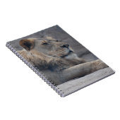 Afrikaanse lion notitieboek (Rechterzijde)