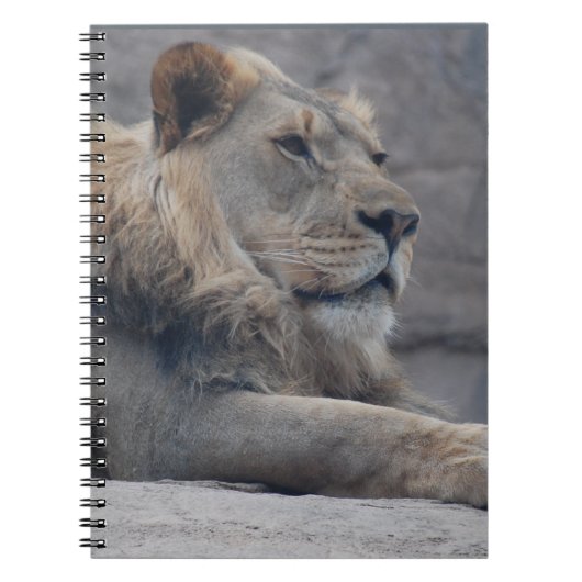 Afrikaanse lion notitieboek (Voorkant)