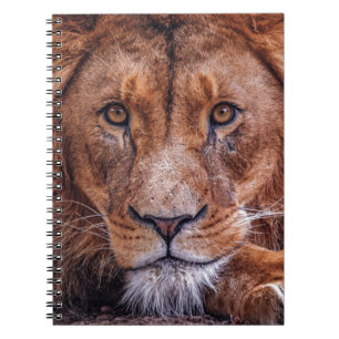Afrikaanse lion notitieboek