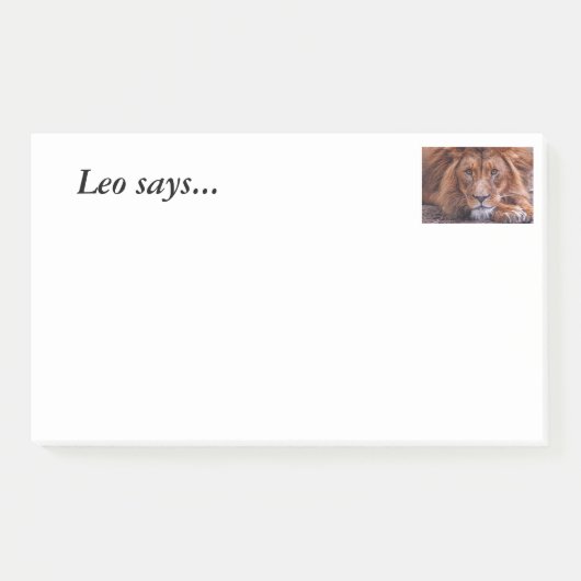 Afrikaanse lion post-it® notes (Voorkant)
