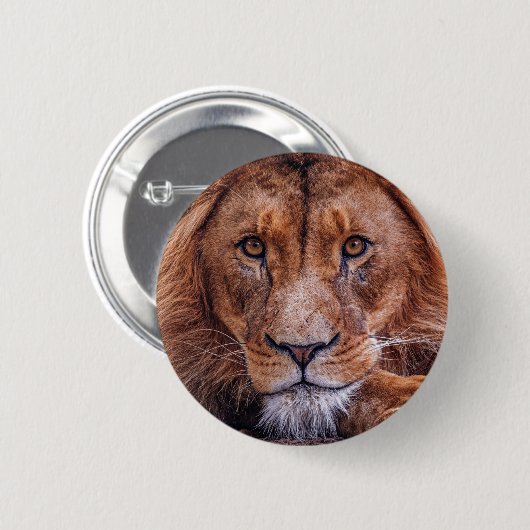 Afrikaanse lion ronde button 5,7 cm (Voorkant /achterkant)