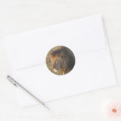 Afrikaanse lion ronde sticker (Envelop)