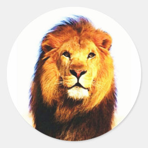 Afrikaanse lion ronde sticker