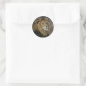 Afrikaanse lion ronde sticker (Tas)