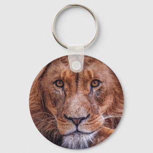 Afrikaanse lion sleutelhanger