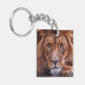 Afrikaanse lion sleutelhanger (Voorkant Links)