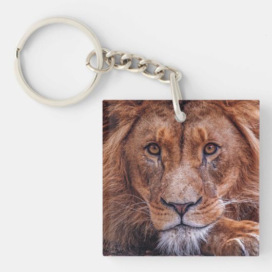 Afrikaanse lion sleutelhanger (Voorkant)