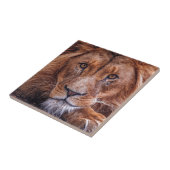 Afrikaanse lion tegeltje (Zijkant)