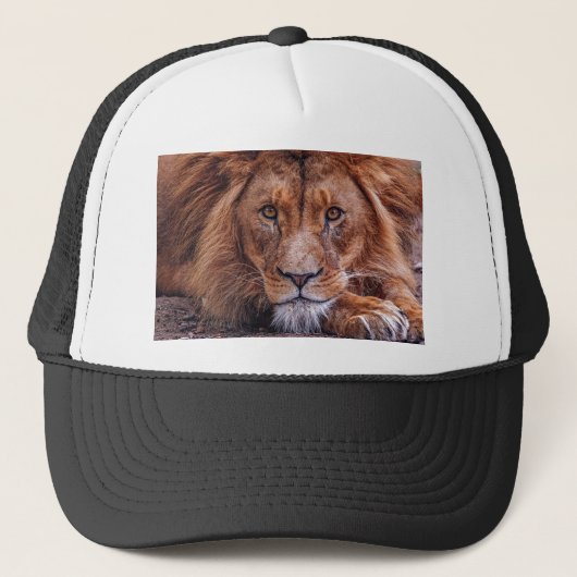 Afrikaanse lion trucker pet (Voorkant)