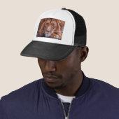 Afrikaanse lion trucker pet (In situ)