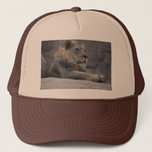 Afrikaanse lion trucker pet