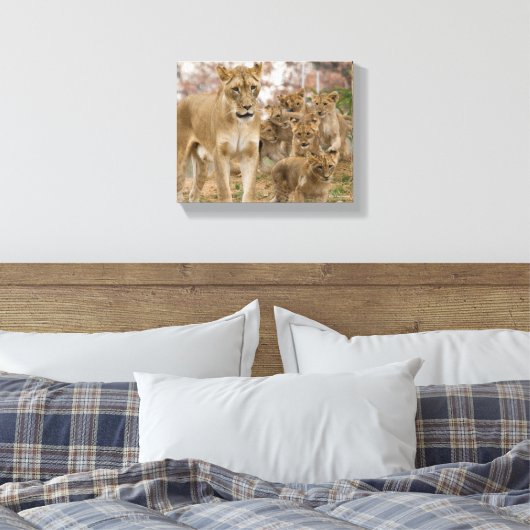Afrikaanse lionkubussen met moeder canvas afdruk (Insitu (Slaapkamer))