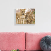 Afrikaanse lionkubussen met moeder canvas afdruk (Insitu (Woonkamer))