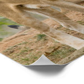 Afrikaanse lionkubussen met moeder poster (Hoek)