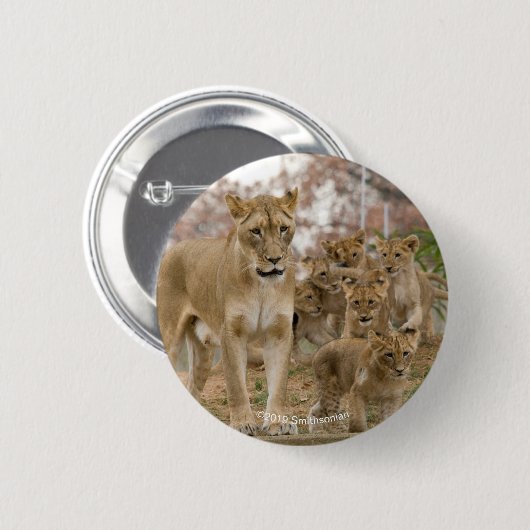 Afrikaanse lionkubussen met moeder ronde button 5,7 cm (Voorkant /achterkant)