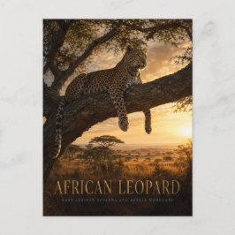 Afrikaanse Luipaard Acacia Savanne DIEREN Briefkaart