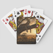Afrikaanse Luipaard Acacia Savanne DIEREN Poker