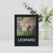 Afrikaanse luipaard briefkaart (Staand voorkant)