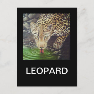 Afrikaanse luipaard briefkaart
