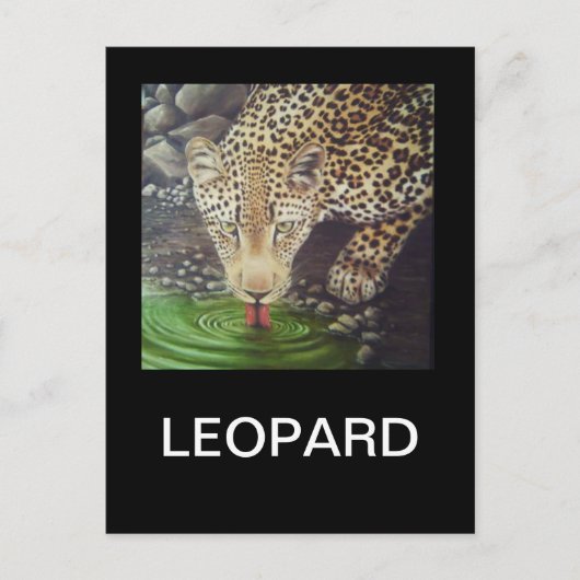 Afrikaanse luipaard briefkaart (Voorkant)
