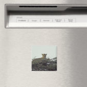 Afrikaanse luipaard magneet (Insitu (Vaatwasser))