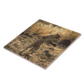 Afrikaanse luipaard op achterpoten, Namibië, Afrik Tegeltje (Zijkant)