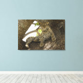 Afrikaanse Luipaard, Panthera pardus Canvas Afdruk (Insitu (Houten vloer))
