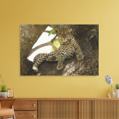 Afrikaanse Luipaard, Panthera pardus Canvas Afdruk (Insitu (Woonkamer))