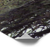 Afrikaanse luipaard poster (Hoek)