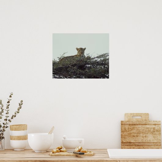 Afrikaanse luipaard poster (Keuken)