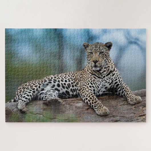 Afrikaanse luipaard wilde grote katten Natuur Legpuzzel (Horizontaal)