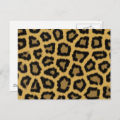 Afrikaanse luipaarden briefkaart (Voorkant / Achterkant)