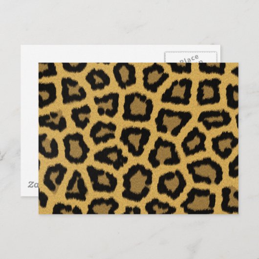 Afrikaanse luipaarden briefkaart (Voorkant / Achterkant)