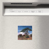 Afrikaanse maan magneet (Insitu (Vaatwasser))