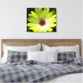 Afrikaanse Madelief Fluorescerend Geel Canvasprint Canvas Afdruk (Insitu (Slaapkamer))